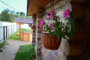 Hotels