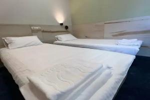 Dvuhmestnyy nomer s 1 krovatyu ili dvumya odnospalnymi Standart plyus Apartments, Nizhniy Tagil