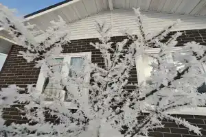 Gorodskaya dacha Cottage, Tobol'sk