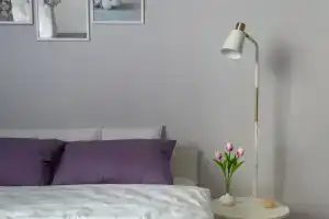 Uyutnaya i svetlaya -studiya na severo-zapade Podmoskovya Apartments, Krasnogorsk