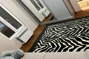 Uyutnaya v tsentre goroda s vidom na more Apartments, Izbarbash