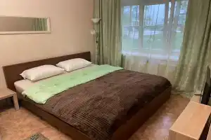 Uyutnaya v shagovoy dostupnosti ot aeroporta Tolmachevo Apartments, Ob'
