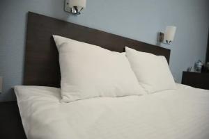 Dvuhmestnyy nomer s 1 krovatyu standart Apartments