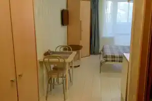 studiya v rayone tsirka Apartments