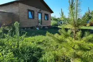 Unikalnyy dom Lesnaya Izbushka, tihiy spokoynyy otdyh s komfortom Cottage, Aleksandrov