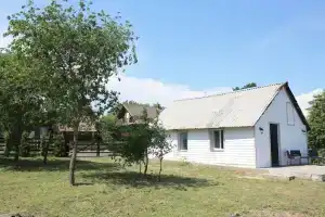 Farm, Vawkavysk