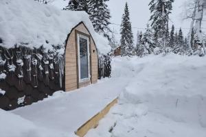 Uyutnyy s vidom na les Camping, Ust-Mana