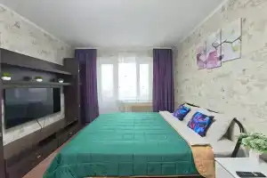 Otlichnaya, uyutnaya, odnokomnatnaya Apartments