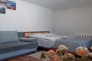 v tsentre goroda - okolo parka Pushkina Apartments