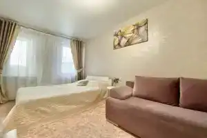 Uyutnaya odnokomnatnaya v tsentre Apartments
