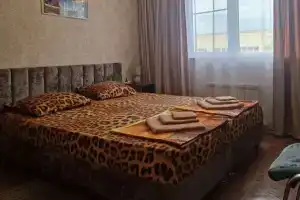 Dvuhmestnyy nomer s 1 krovatyu standart Apartments, Adler