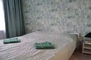 Uyutnaya v spalnom rayone u lesa Apartments, Petrozavodsk