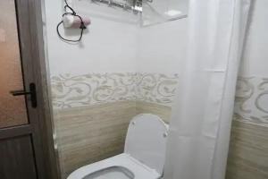 Dvuhmestnyy nomer s 1 krovatyu standart Apartments