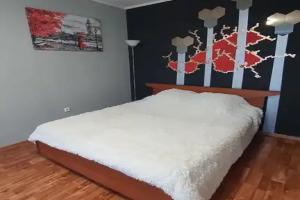 Apartament, Novorossijsk