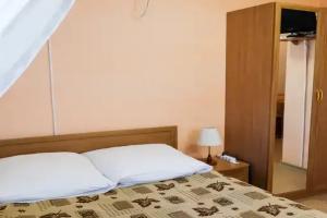 Dvuhmestnyy nomer s 1 krovatyu standart Apartments, Astrakhan