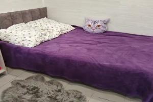 " kalinina 20 " nomer lyuks " 8n " Guest house, Yeysk