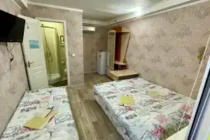 Tryohmestnyy nomer standart Apartments, Berdyansk