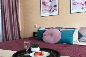 Svetlaya uyutnaya ryadom s lesom i parkom Apartments, Yegor'yevsk