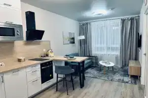 Novyy uyutnyy apartament, Dudkino