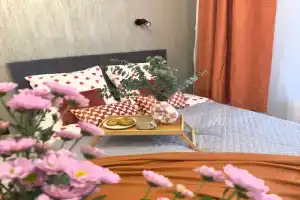 Zamechatelnaya studiya Apartments, Gavrikovo
