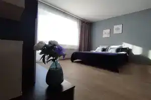 Uyutnaya v novostroyke okolo aeroporta Tolmachevo Apartments, Ob'