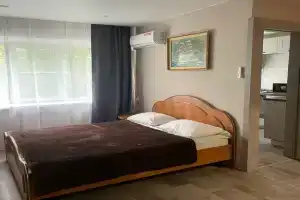 Uyutnaya v shagovoy dostupnosti ot aeroporta Apartments, Ob'