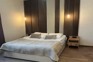 Dvuhmestnyy nomer s 1 krovatyu standart Apartments, Mozhaysk