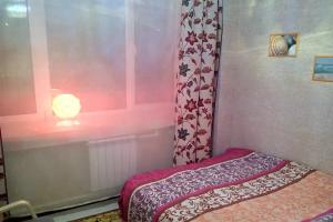 Dvuhmestnyy nomer s 1 krovatyu s oknom Apartments, Shchelkovo