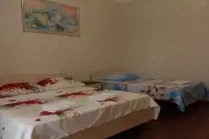 Tryohmestnyy nomer standart Apartments, Alakhadzi