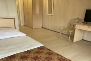 Dvuhmestnyy nomer s 1 krovatyu standart Apartments, Yegor'yevsk