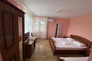 Tryohmestnyy nomer standart Apartments, Alakhadzi