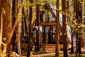 Otdelnyy dom A-freym v sosnovom lesu Cottage, Vladivostok