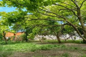 Tryohmestnyy nomer standart Apartments, Alakhadzi
