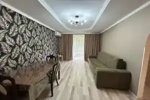 Uyutnaya so vsemi udobstvami Apartments, Agudzera