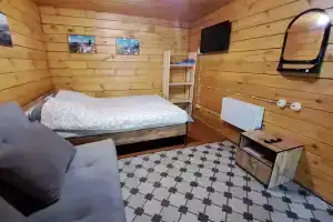 Dvuhmestnyy nomer s 1 krovatyu standart Apartments