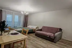 Komfortnaya studiya ryadom s aeroportom Tolmachevo i Ekspotsentrom Apartments, Ob'