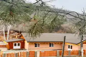 i kedrovaya banya na Altayskoy Guest house, Nizhnekayancha