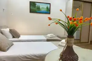 Dvuhmestnyy nomer s 2 otdelnymi krovatyami ekonom Apartments, Derbent