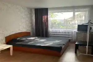 Uyutnaya v tsentre goroda Apartments, Vyaznika