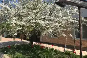 Uyutnoe zhile u morya s razvitoy infrastrukturoy Elling, Yeysk
