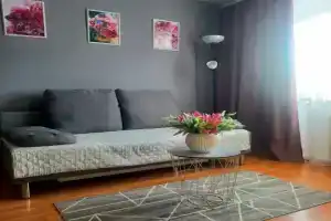Uyutnaya ryadom s aeroportom Tolmochevo Apartments, Ob'