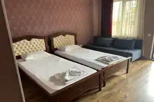 Tryohmestnyy nomer standart Apartments, Novyjj Afon