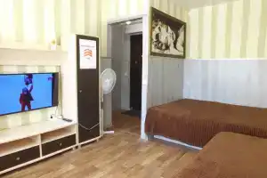 2-spalnaya i 1-spalnaya krovati Smart-TV Tsentr Mgnovennoe zaselenie Apartments
