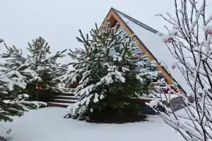 Territoriya semeynogo otdyha "TselMoya" - vash ugolok garmonii Cottage, Tobol'sk