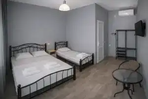 Nomer komfort s sobstvennoy vannoy komnatoy Apartments, Alakhadzi