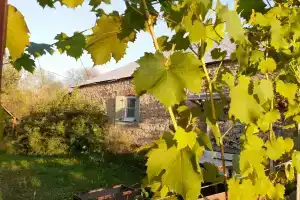 Dom v derevne na Donu v sosnovom lesu Cottage