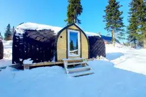 Uyutnyy sredi lesa s vidom na gory Camping, Ust-Mana