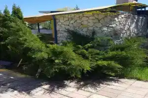 Mazda Club on Dunayskaya 1A Guest house, Voronezh