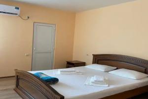 Dvuhmestnyy nomer s 1 krovatyu standart Apartments, Alakhadzi