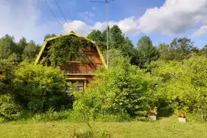 s baney v derevne okolo turbazy Alol v okruzhenii lesa, rek i ozyor, mezhdu gorodami Pustoshka i Opochka Cottage, Kholyuny